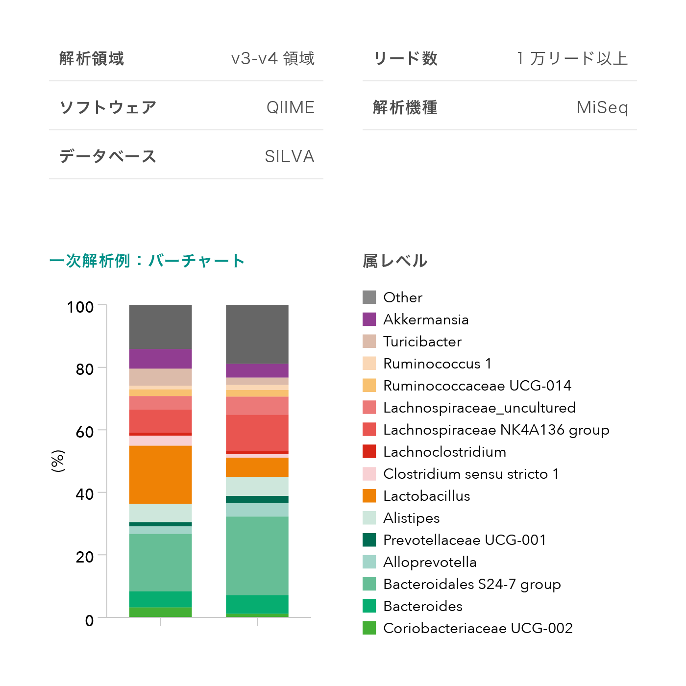 一次解析例：バーチャート