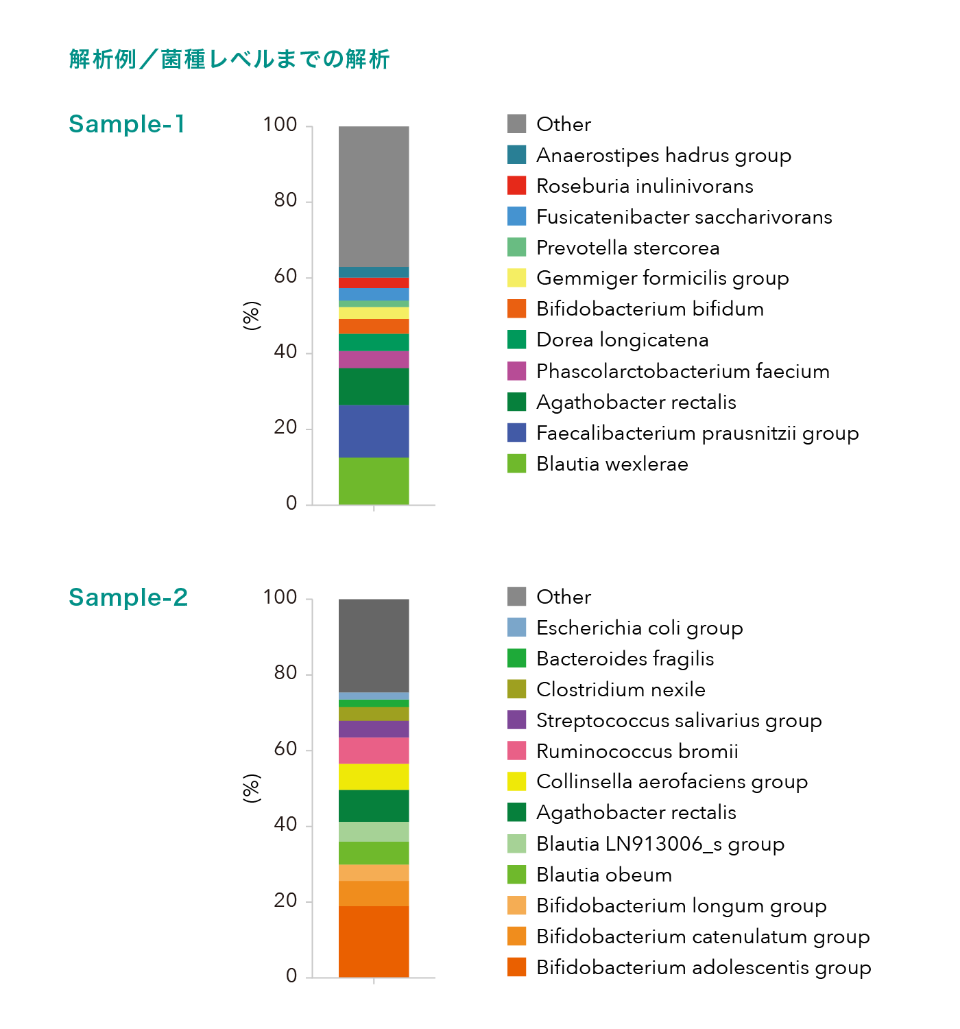 解析例／菌種レベルまでの解析