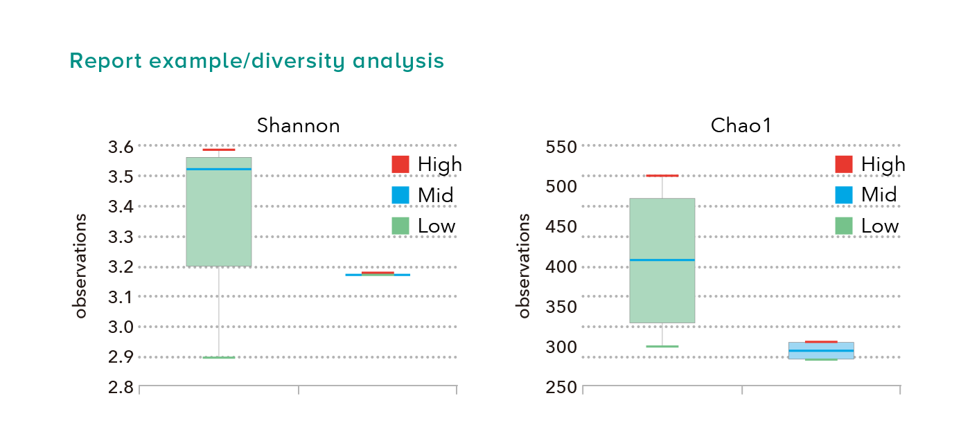 Report example/diversity analysis