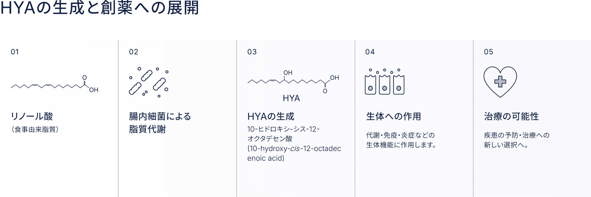 HYAの生成と創薬への展開