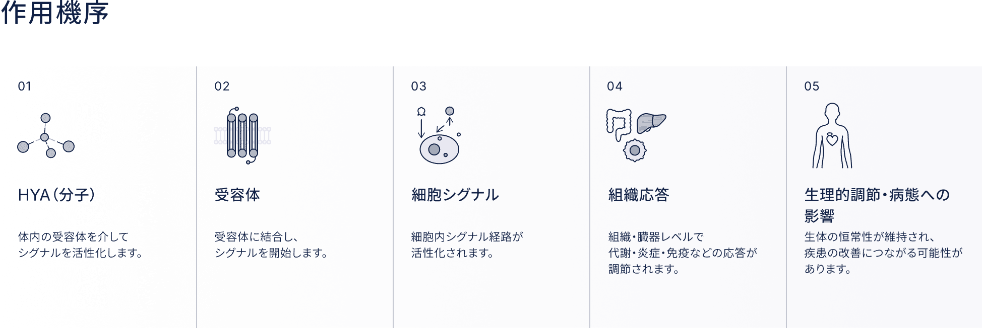 作用機序
