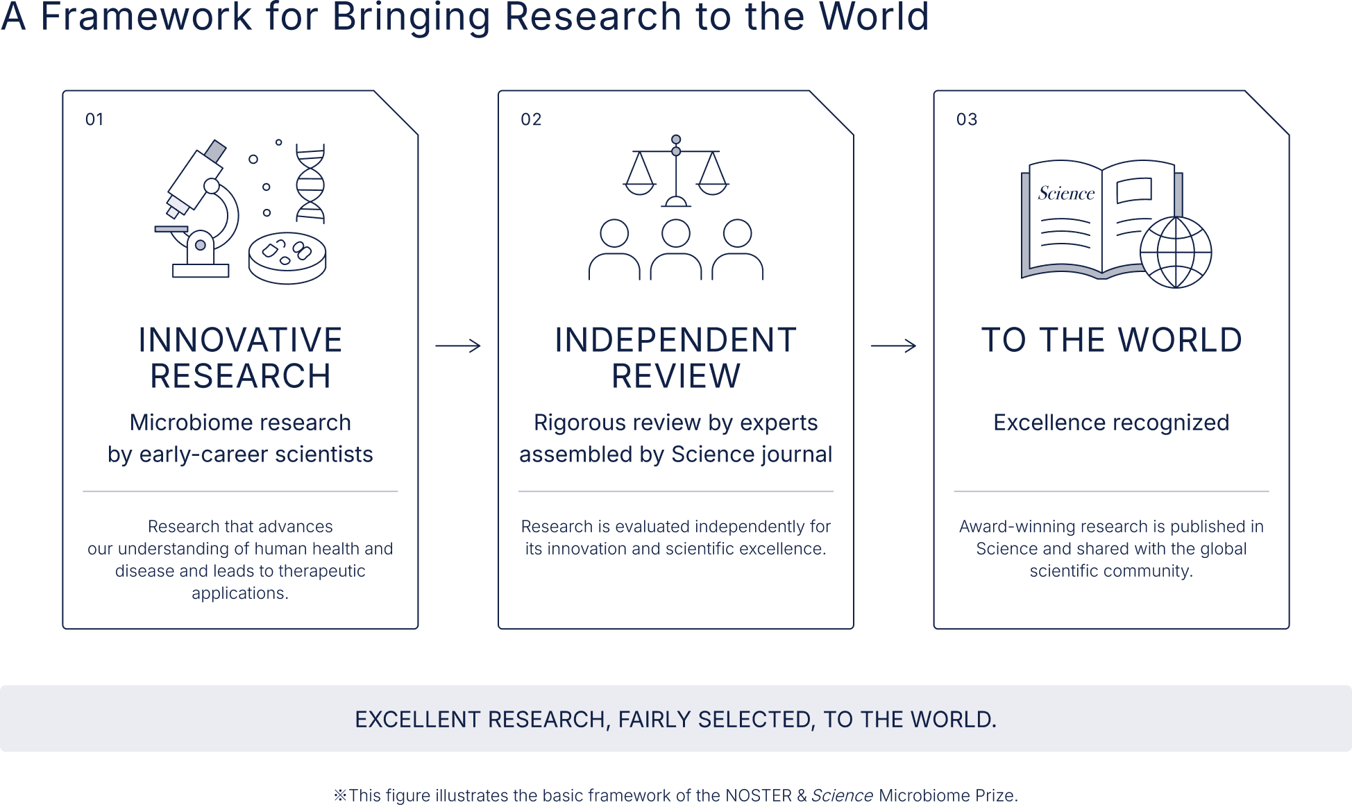 A Framework for Bringing Research to the World - EXCELLENT RESEARCH, FAIRLY SELECTED, TO THE WORLD. * This figure illustrates the basic framework of the NOSTER & Science Microbiome Prize.